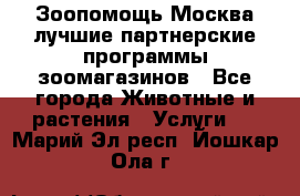 Зоопомощь.Москва лучшие партнерские программы зоомагазинов - Все города Животные и растения » Услуги   . Марий Эл респ.,Йошкар-Ола г.